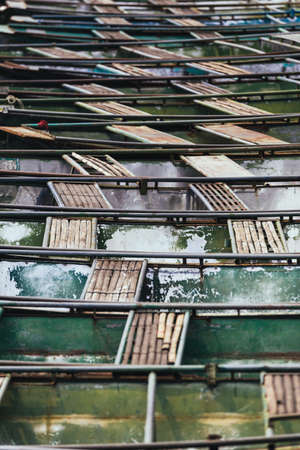 Close up green empty rowing boats with seats that made by bamboo stop over the river at Trang An Grottoes in Ninh Binh, Vietnam.の写真素材
