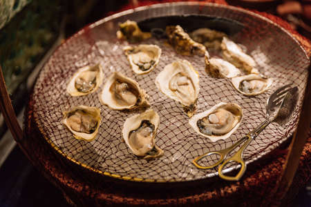 Fresh oysters place on the net with ice below from buffet line of the hotel at Hanoi, Vietnam.の写真素材