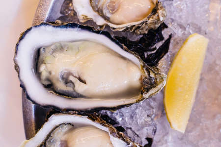 Close up fresh oysters served on ice in steel plate with sliced of lemon and spicy sauces.の写真素材
