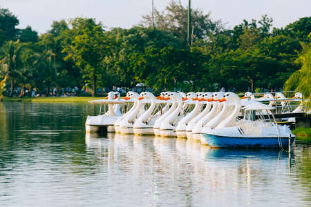 Duck Boats over the pond in the morning with sunlight with trees in background.の写真素材