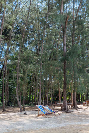 Beach folding chairs over sand with trees in the background at Koh Mak Island in Trat, Thailand.の写真素材