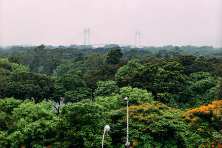 Green and red leaf trees in the park from above with Vidyasagar Setu, also known as the Second Hooghly Bridge in the background in Kolkata, India.の写真素材