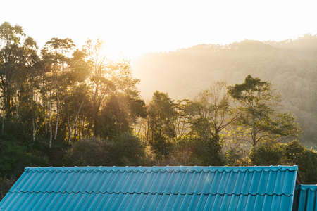 Tree branches on blue house roof and mountain with sunlight and fog in the evening in the Akha village of Maejantai on the hill in Chiang Mai, Thailand.の写真素材