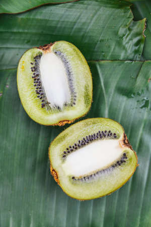 Top view of cut half Thai Kiwi on banana leaves. Example fruity taste of coffee.の写真素材