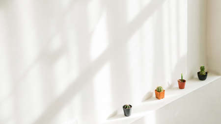 Clean, white indoor wall with sunlight shadow cast on, decorated with small cactus in pots on the building beam. Minimal home interior decorating ideas. Background with copy space.の写真素材