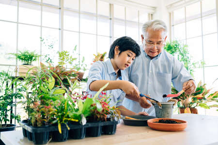 Asian retirement grandfather and his grandson spending quality time together insulated at home....