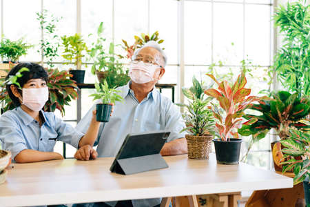 Asian retirement grandfather and grandson wearing a face mask and live to sell plants on a tablet with fun. Retirement hobby and lifestyle. Family bonding between old and young. Concept of quarantine.の写真素材