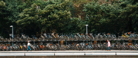 TAIPEI, TAIWAN. JAN 1, 2018: Double-decker bike racks along the sidewalk in front of the National Taiwan University with people walking.のeditorial素材