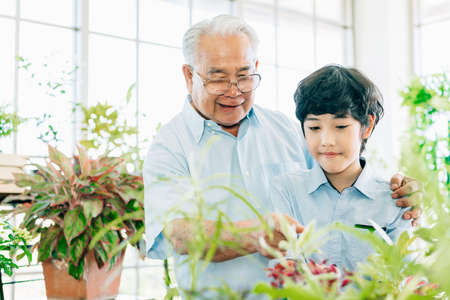 Asian retirement grandfather and his grandson spending quality time together insulated at home....