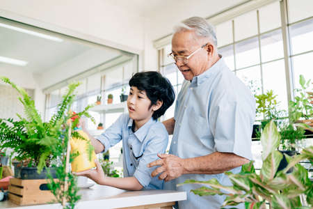 Asian retirement grandfather and his grandson with smiles, spending quality time together by enjoy taking care of plants by spraying water in an indoor garden. Family bonding between old and young.の写真素材