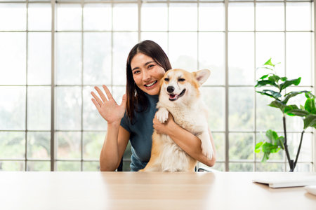 Smiling young woman waves at the camera while holding her Corgi dog in a bright home office setting. The cheerful scene highlights remote work, pet companionship, and joyful online connection.の写真素材