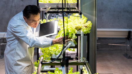 Scientist in white lab coat examines hydroponic lettuce using tablet and grow lights. Modern indoor...