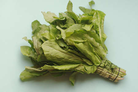 A macro bunch of green fresh sorrel on the blue background. Healthy food, raw and vegetarian