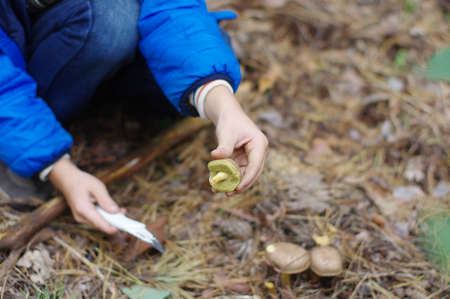 Happy child gathers mushrooms in the autumn forestの写真素材