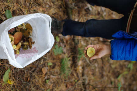 Happy child gathers mushrooms in the autumn forestのeditorial素材