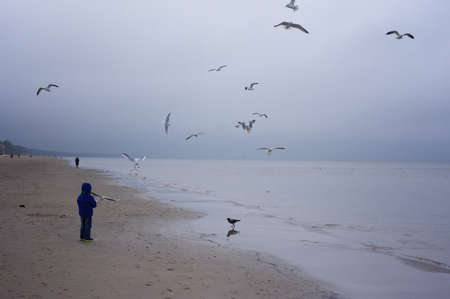 Boy feeding gulls on the beach. Little boy stands on beach the sea on cold windy day.の写真素材