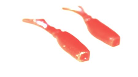 Little colorful silicone fishing on white backgroundの写真素材
