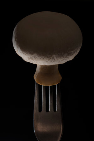 An ordinary mushroom on a vintage fork. champignon on a stainless steel fork isolated on a black background illuminated from the sides by lightの写真素材
