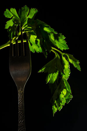 parsley on a fork on a black backgroundの写真素材