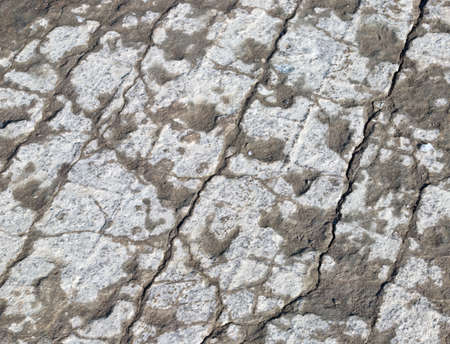 block pavement texture in winter