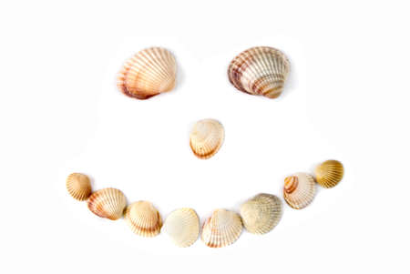 smile from various color shells isolated on whiteの写真素材