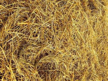 Straw textureの写真素材