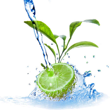 water drops on lime with green leaves isolated on whiteの写真素材