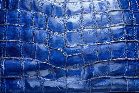luxury blue leather texture の写真素材