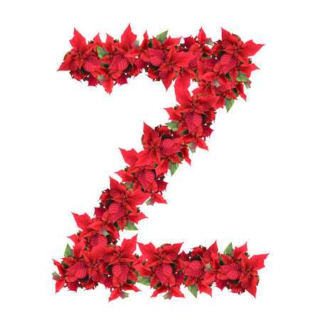 letter from red christmas flowers isolated on whiteの写真素材