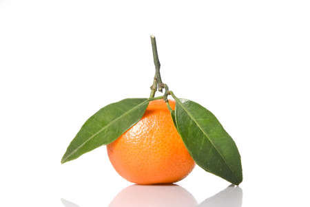 Tangerine with green leaves isolated on whiteの写真素材