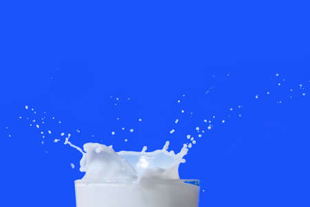 Milk splash isolated on blueの写真素材
