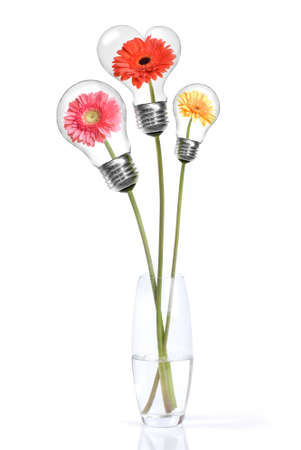 Bouquet from daisy-gerbera with heads inside lamps isolated on white