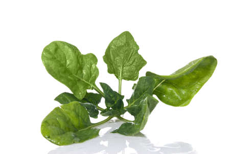 green spinach isolated on whiteの写真素材