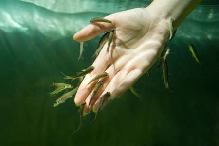 Hand in water with fishes (Fish spa for skin care)の写真素材