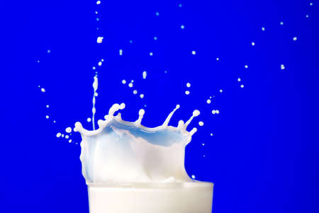 Milk splash isolated on blueの写真素材