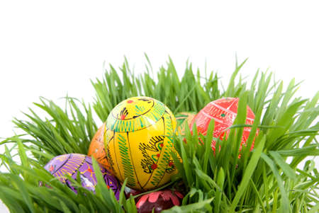 color easter eggs in nest from green grass on whiteの写真素材
