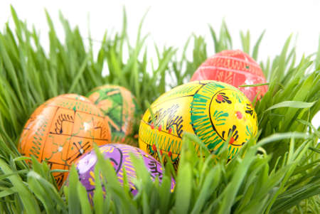 color easter eggs in nest from green grass on whiteの写真素材