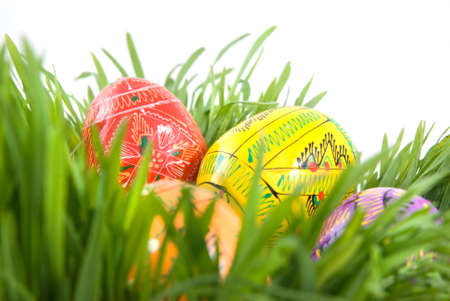 color easter eggs in nest from green grass on whiteの写真素材