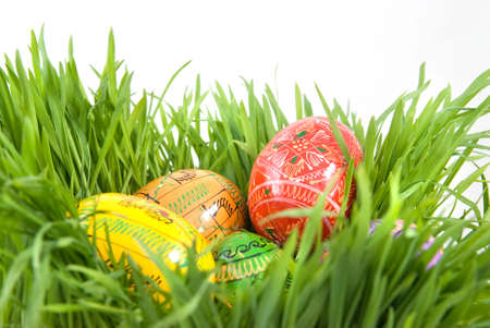 color easter eggs in nest from green grass on white