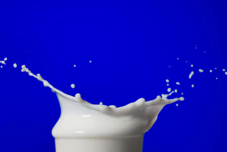 Milk splash isolated on blueの写真素材
