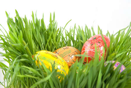 color easter eggs in nest from green grass on whiteの写真素材