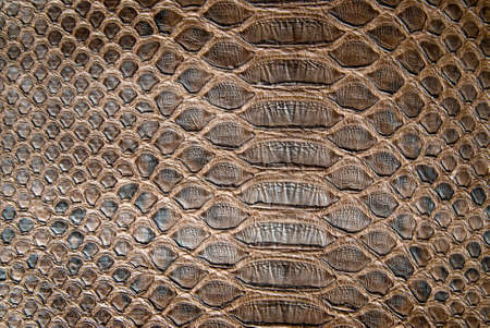 brown crocodile texture