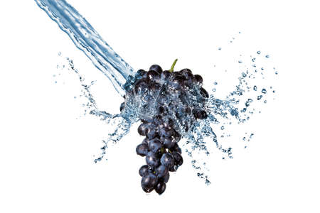 blue grape with water splash isolated on white