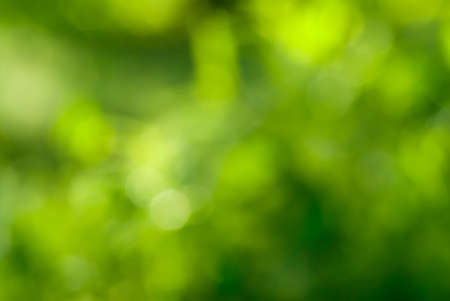 abstract green background with natural bokehの写真素材