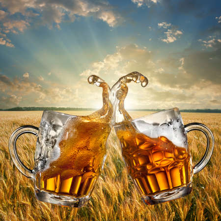 Splash of beer against wheat field and sunsetの写真素材
