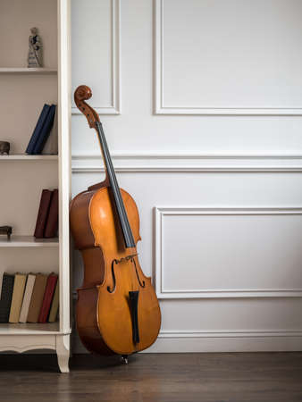 Cello in classical interior near bookshelfの写真素材