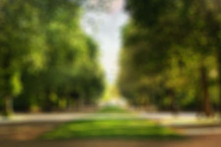 Summer city park blurred backgroundの写真素材