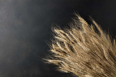 wheat on black background. top viewの写真素材