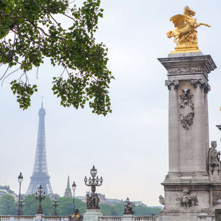 Alexandre III bridge and Eiffel Tower on backgraund