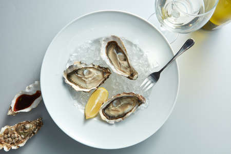 Seafood. Delicious oyster with lemon on white plate and glass wine in the white backgroundの写真素材